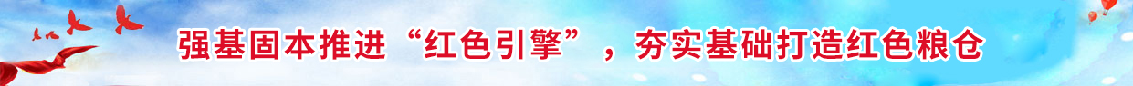 港湾宝典